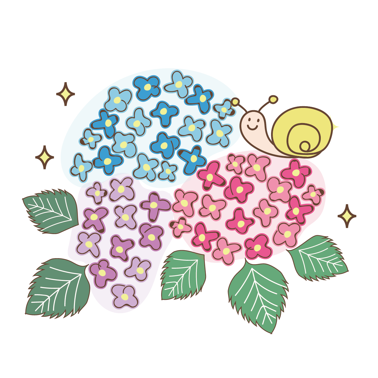 【梅雨】紫陽花（アジサイ）とカタツムリのイラスト