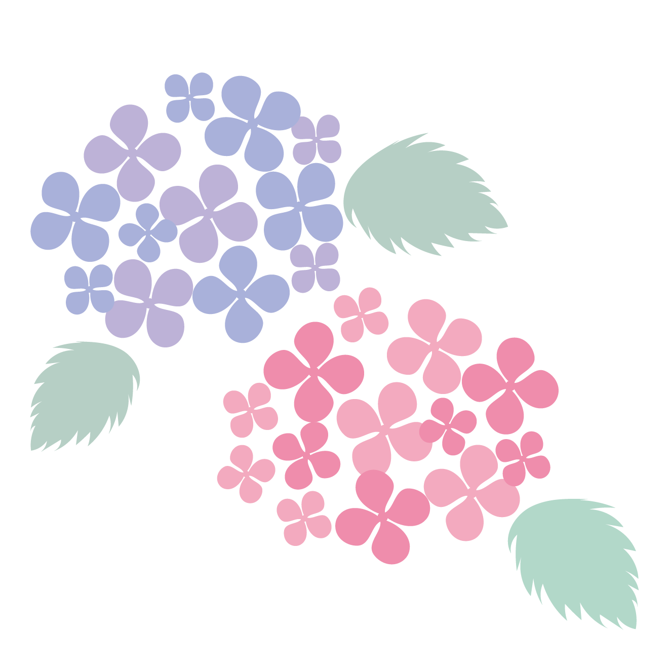 パステル調の紫陽花（アジサイ）の花　フリー イラスト【梅雨】