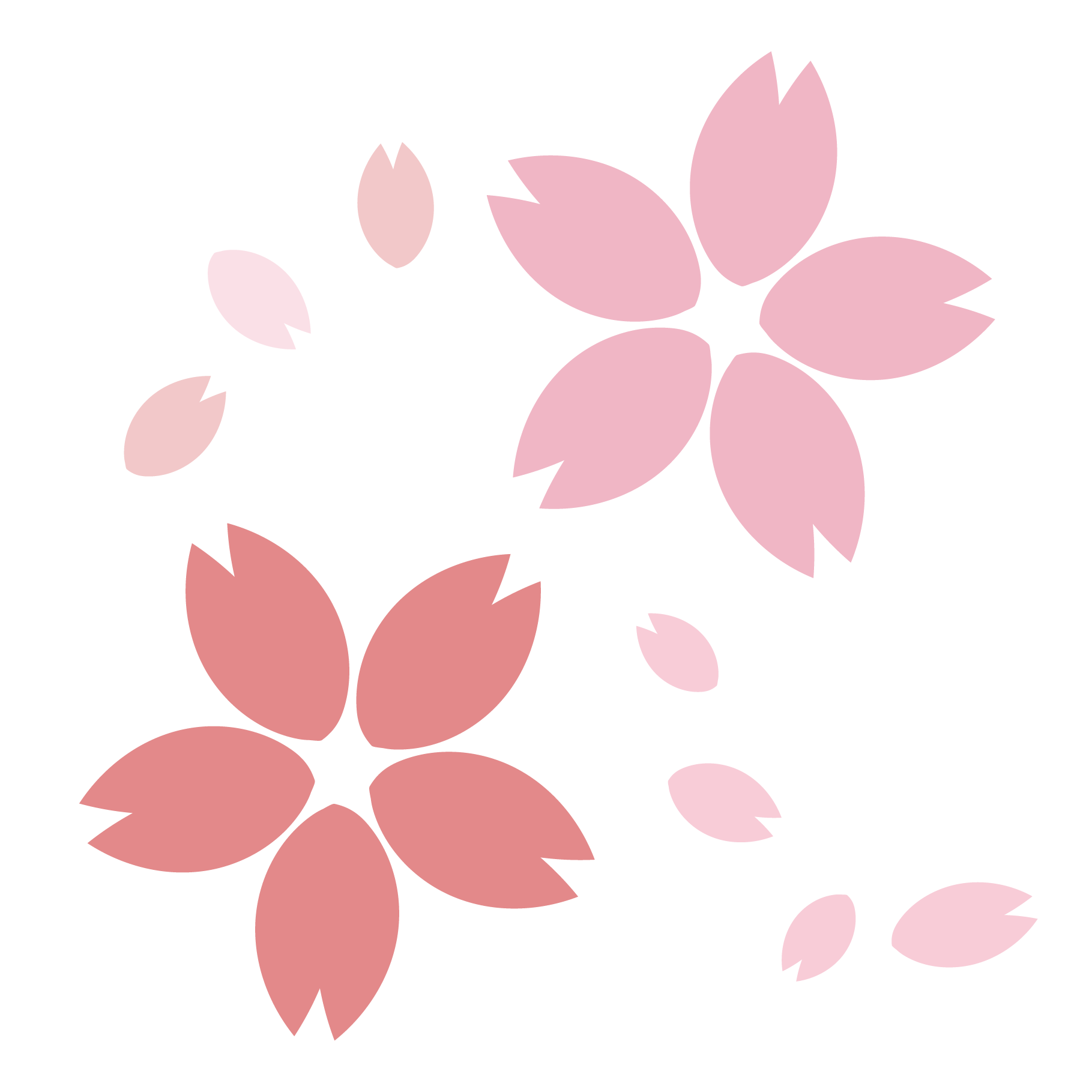 桜（さくら・サクラ）のイラスト【春】