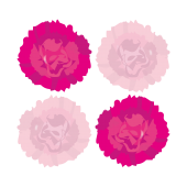 ピンクのカーネーションのお花のイラスト