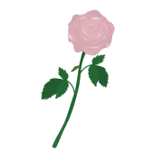 一輪のピンクの薔薇（バラ）の フリー　イラスト