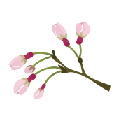 かわいい桜（さくら・サクラ）の蕾（つぼみ）のイラスト