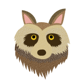 かわいい！たぬきの顔 のアップ♪（英語：raccoon dog）無料　イラスト