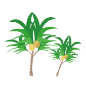 常夏！椰子・ヤシの木のイラスト
