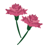 母の日の花 ピンク(桃色の）のかわいい！無料 カーネーション イラスト