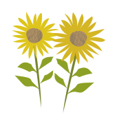 【夏の花】向日葵（ヒマワリ）のイラスト