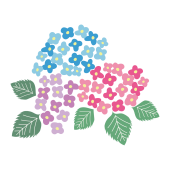 【梅雨】色鮮やかな紫陽花（アジサイ）　フリー　イラスト